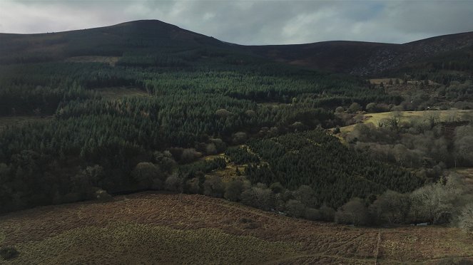 Six Silent Killings: Ireland's Vanishing Triangle - Film