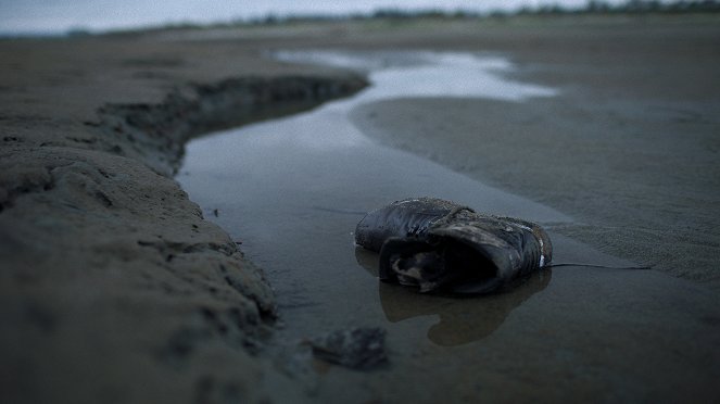 Archiwum niewyjaśnionych spraw - Sprawa stóp unoszących się na wodach morza Salish - Z filmu