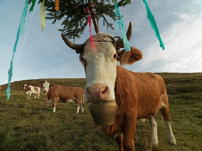 Auch das ist Österreich - Auch das ist Steiermark - Photos