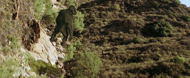 Ape vs. Monster - Filmfotók