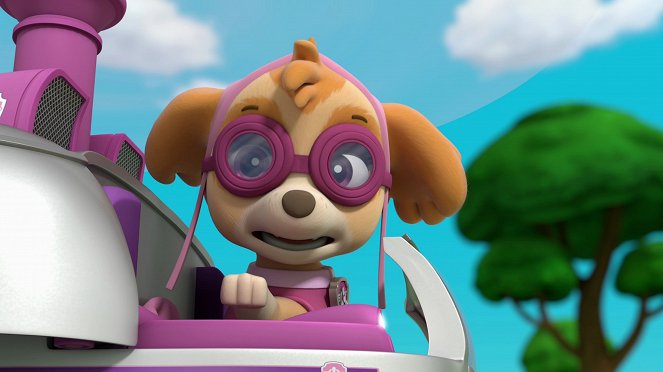 PAW Patrol - Pups Save the Mustache / Pups Save the Funhouse - Van film