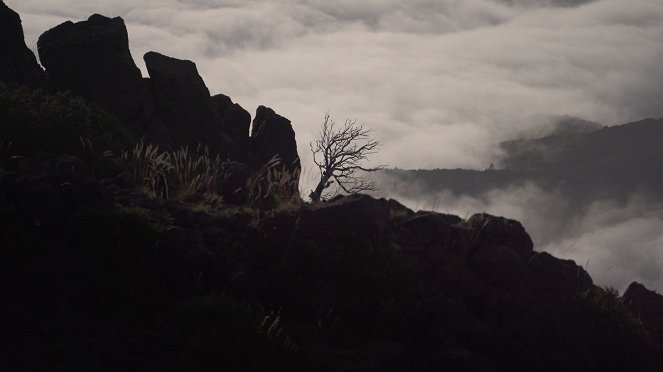 Bytost: strom, voda, kámen - Filmfotók