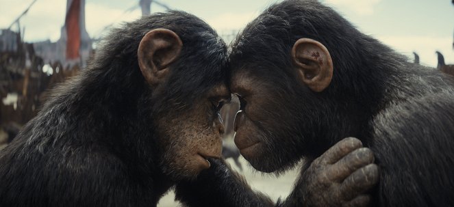 Kingdom of the Planet of the Apes - Van film