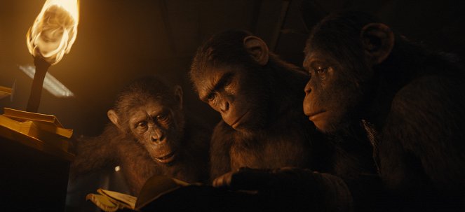 El reino del planeta de los simios - De la película