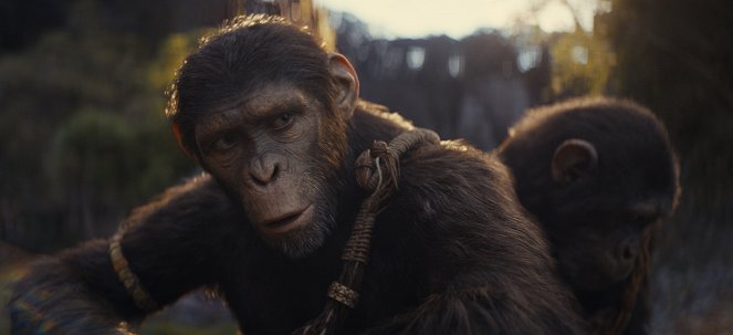 La Planète des Singes : Le nouveau royaume - Film