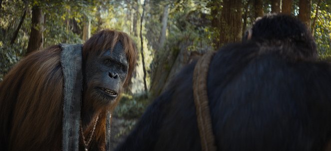 Kráľovstvo planéty opíc - Z filmu