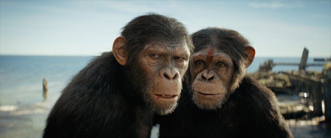Království Planeta opic - Z filmu