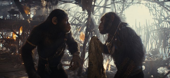 Kráľovstvo planéty opíc - Z filmu