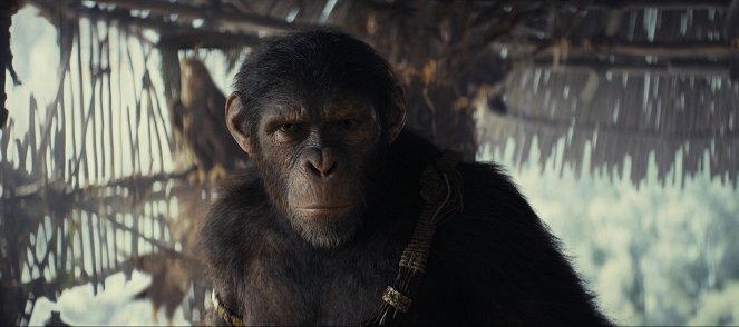 O Reino do Planeta dos Macacos - Do filme