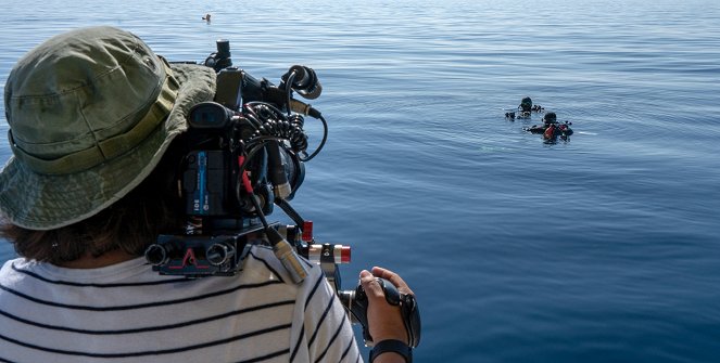 Oceloví žraloci - Filmfotók