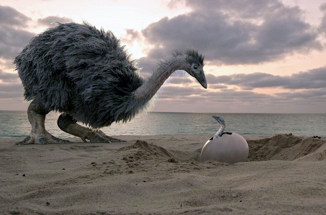 Le mystère des oiseaux géants - Do filme