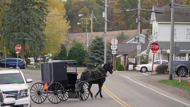 Die Welt der Amish - De la película