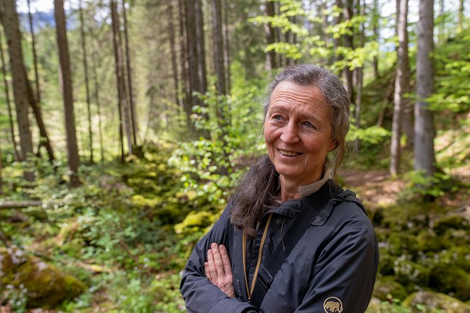 Heimatleuchten - Ausseerland – Mit allen Wassern gewaschen - Kuvat elokuvasta