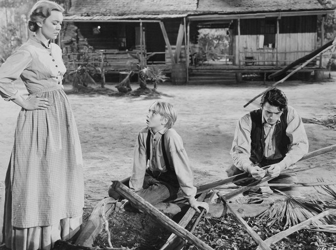 Die Wildnis ruft - Filmfotos - Jane Wyman, Claude Jarman Jr., Gregory Peck