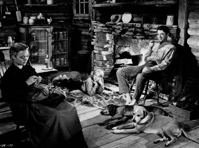Die Wildnis ruft - Filmfotos - Jane Wyman, Claude Jarman Jr., Gregory Peck