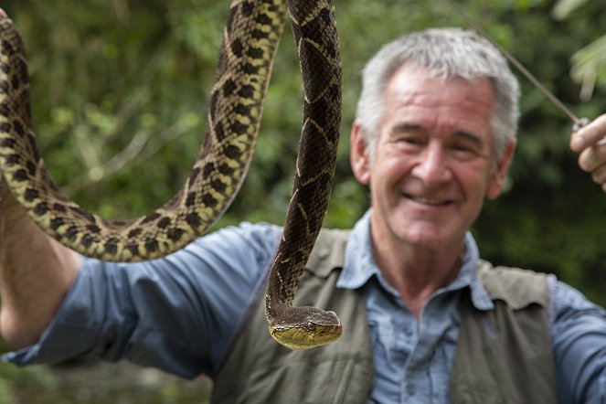 World's Weirdest Snakes - Van film