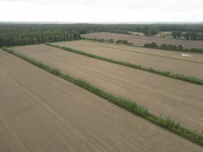 plan b - Ackern gegen den Klimawandel: Neue Ideen für die Landwirtschaft - Z filmu