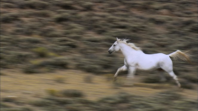 Pohľady zhora: Wyoming zhora - Z filmu