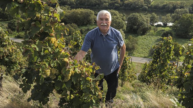 Vinorodé břehy - Vinorodé břehy Mosely 1 - Photos