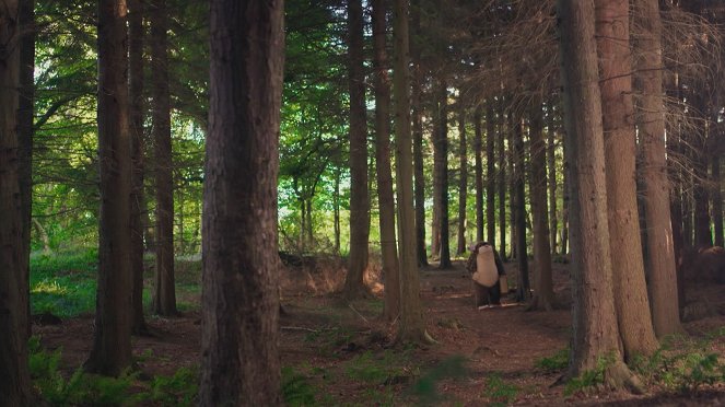 Wildwoods - Film