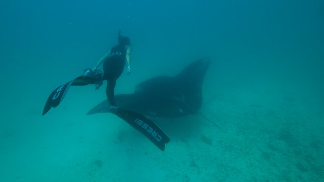 Deep Dive Australia - Film