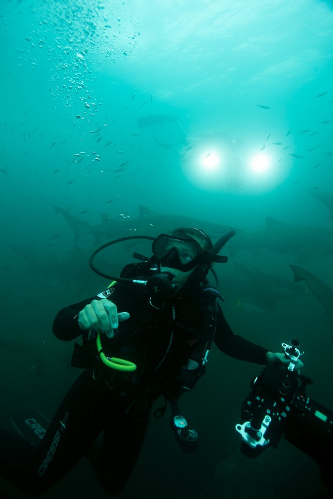 Mélyvíz: kalandozás Ausztrália tengereiben - Filmfotók