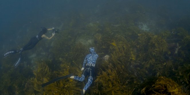 Deep Dive Australia - De la película