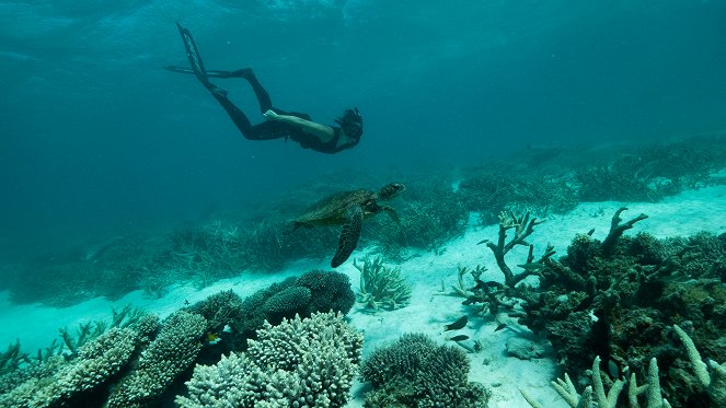 Deep Dive Australia - Photos