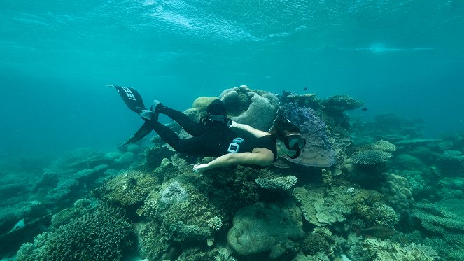 Deep Dive Australia - Do filme