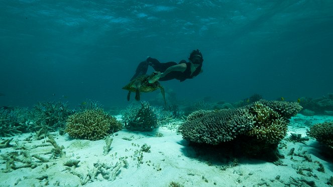 Deep Dive Australia - Do filme