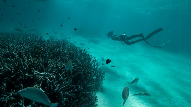 Hlubinné potápění v Austrálii - Z filmu
