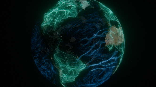 Planeta Vivo - A incrível rede da natureza - Do filme