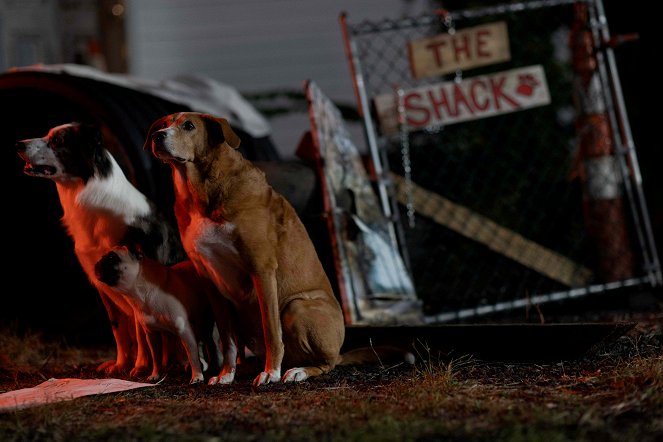 Junkyard Dogs - Kuvat elokuvasta