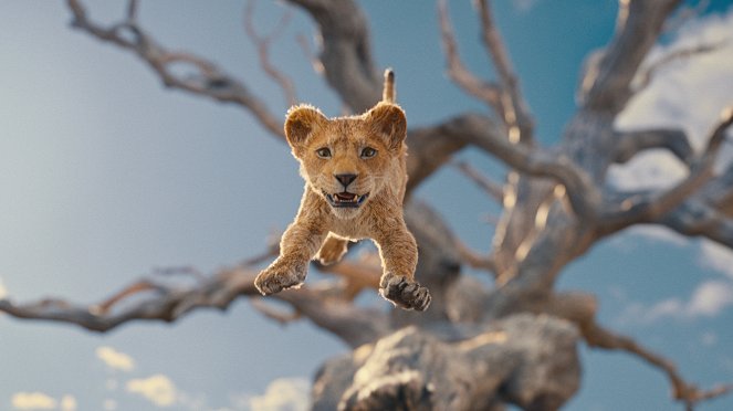 Mufasa: The Lion King - Van film