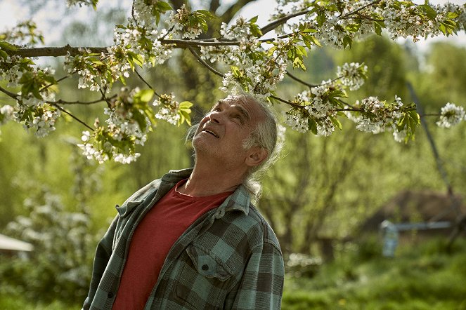 The Gardener's Year - Photos - Oldřich Kaiser