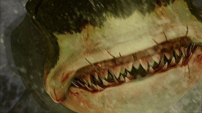 Megalodon – A megacápa - Filmfotók