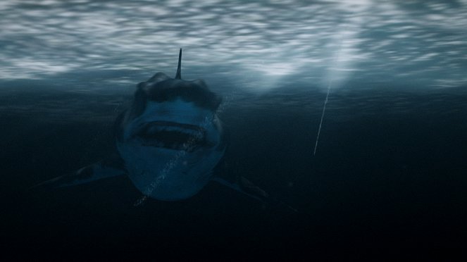 Megalodon - Filmfotos