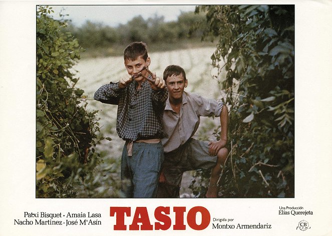 Tasio - Vitrinfotók