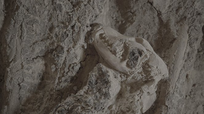 Ztracené poklady Egypta - Tajuplná sfinga - Z filmu
