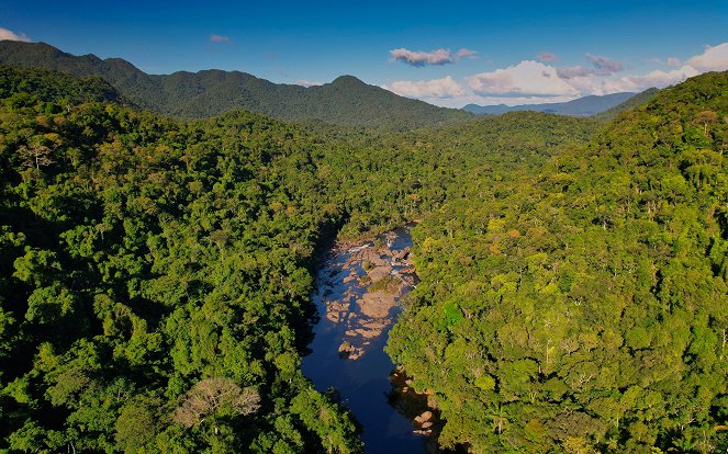 Ohrožená Amazonie - Amazonie - Photos