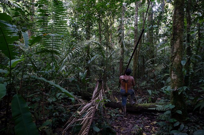 Ohrožená Amazonie - Amazonie - Do filme