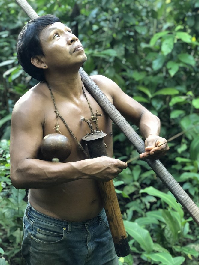 Ohrožená Amazonie - Amazonie - Filmfotos
