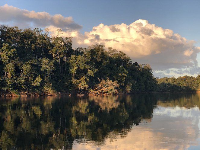 Ohrožená Amazonie - Amazonie - Filmfotók