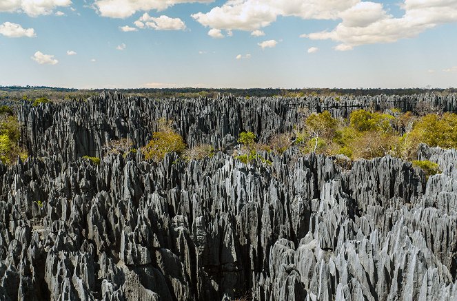 Madagaskar - Der achte Kontinent - De la película