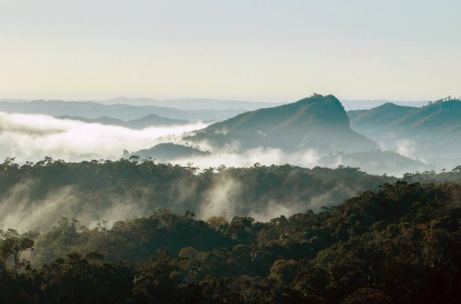 Madagaskar - Der achte Kontinent - Photos