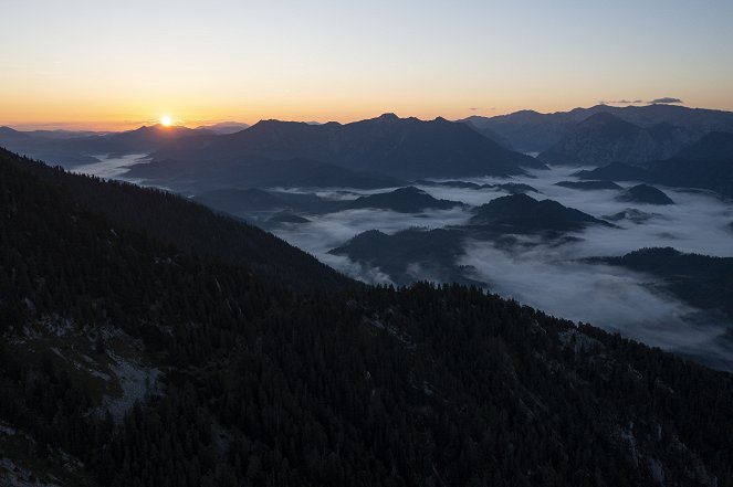 Bergwelten - Der Luchstrail – Auf leisen Sohlen durchs Gebirg’ - Filmfotók