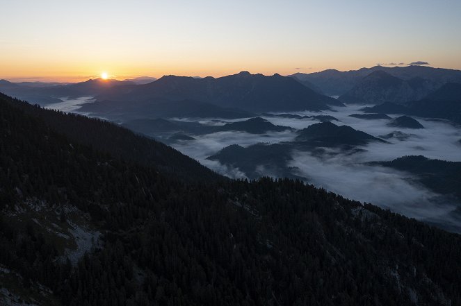 Bergwelten - Der Luchstrail – Auf leisen Sohlen durchs Gebirg’ - Film