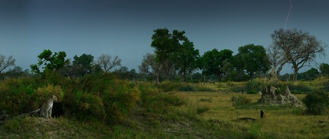 Living with Leopards - Photos