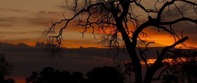 Living with Leopards - Photos