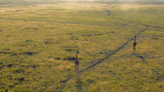 Afrika z výšky - Keňa - Z filmu